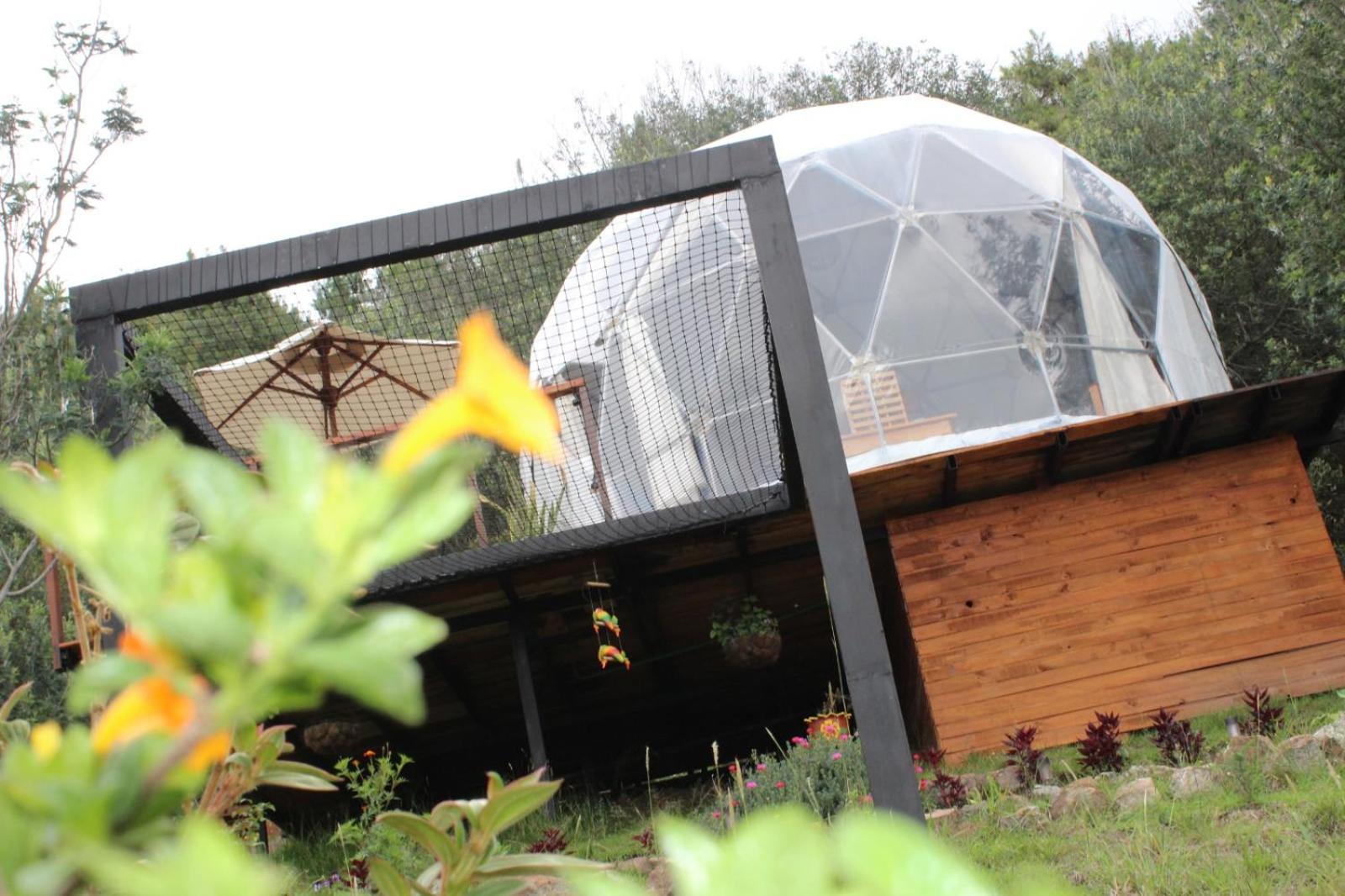 Glamping La Villa 과타비타 외부 사진