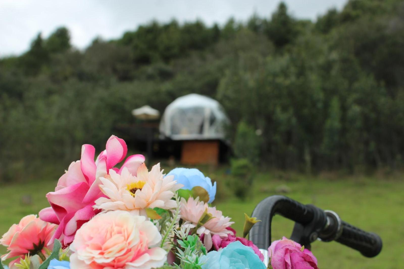 Glamping La Villa 과타비타 외부 사진