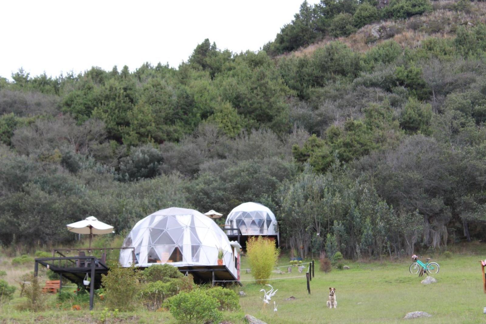 Glamping La Villa 과타비타 외부 사진